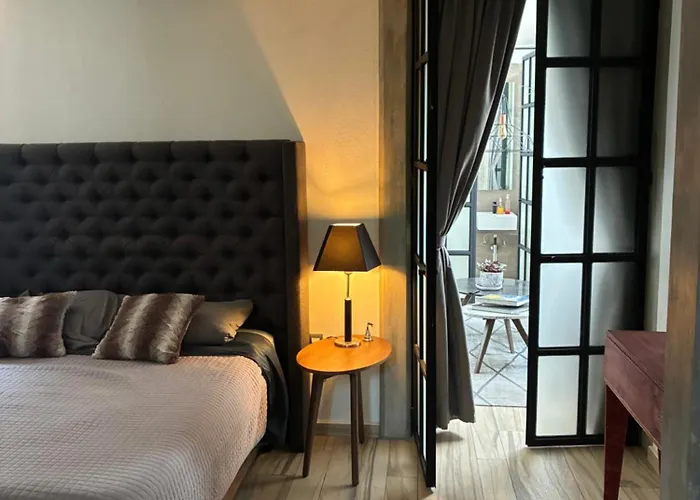 Bright In Shared Loft With Terrace Zona Rosa Mexico City