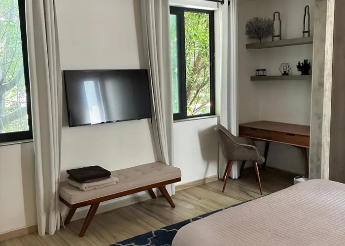 Bright In Shared Loft With Terrace Zona Rosa