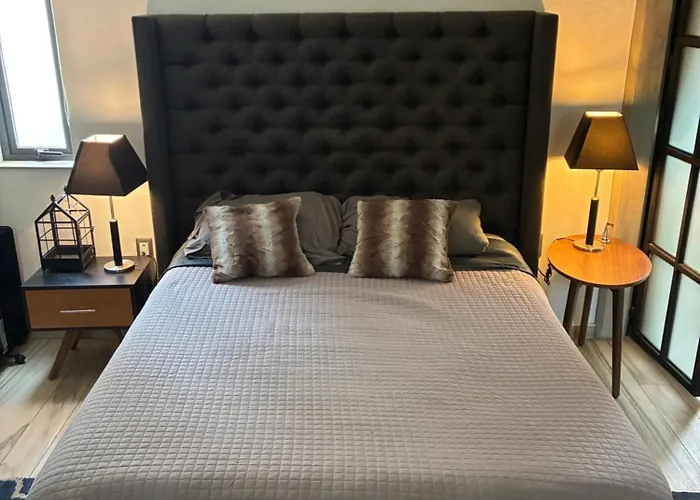 Bright In Shared Loft With Terrace Zona Rosa Homestay