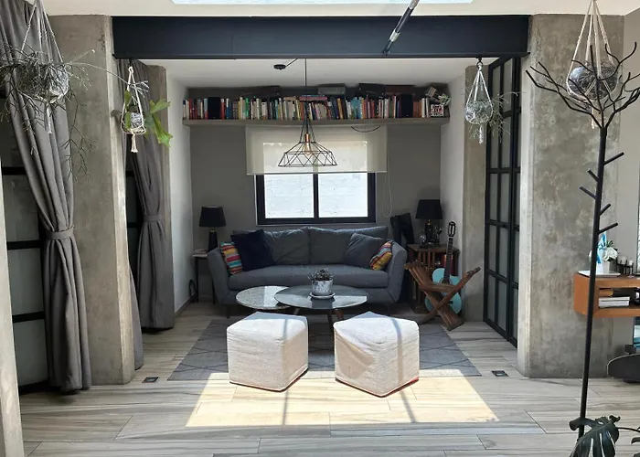 Homestay Bright In Shared Loft With Terrace Zona Rosa *