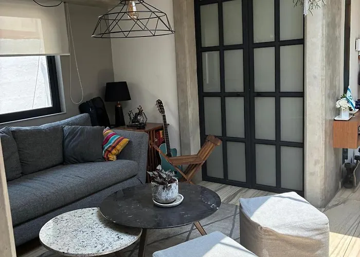 Bright In Shared Loft With Terrace Zona Rosa Homestay Mexico City