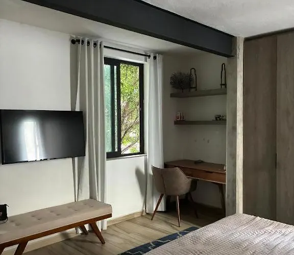 Bright In Shared Loft With Terrace Zona Rosa
